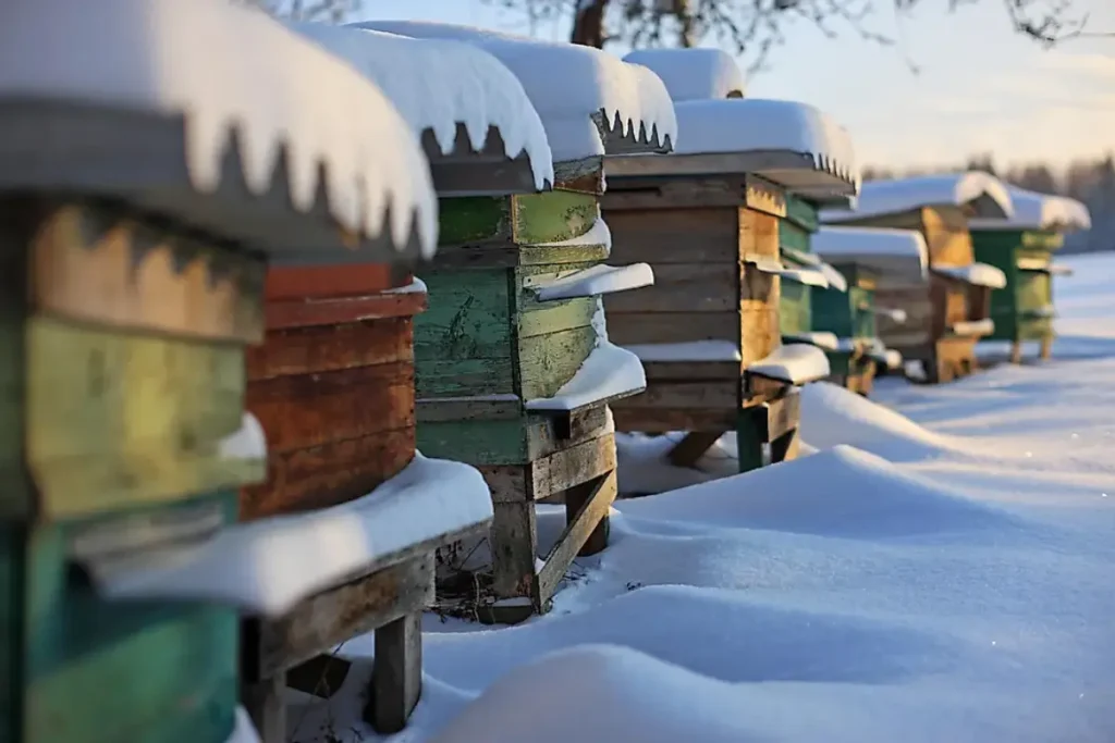 The Science Behind Winter Hive Wraps: How They Help Bees Regulate Temperature